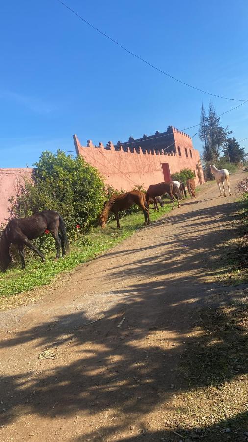 Gite Touristique Yassmine Madagh Ngoại thất bức ảnh